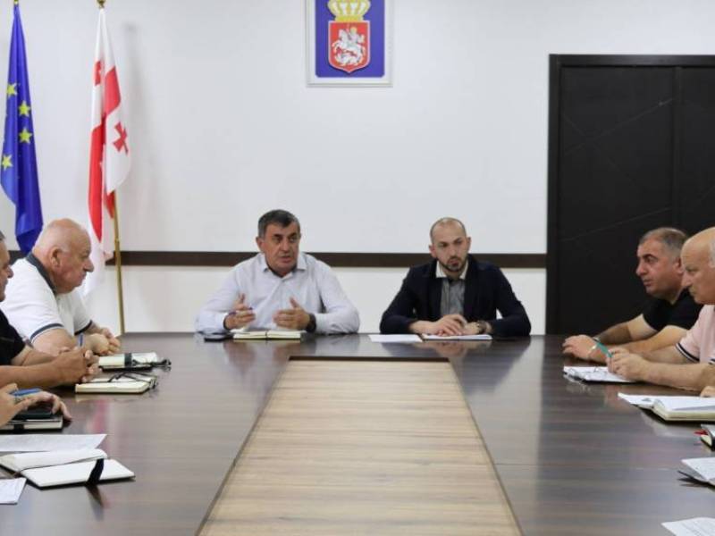 ცაგერის მერის მოვალეობის შემსრულებელმა რევაზ ახვლედიანმა  სამუშაო შეხვედრა გამართა