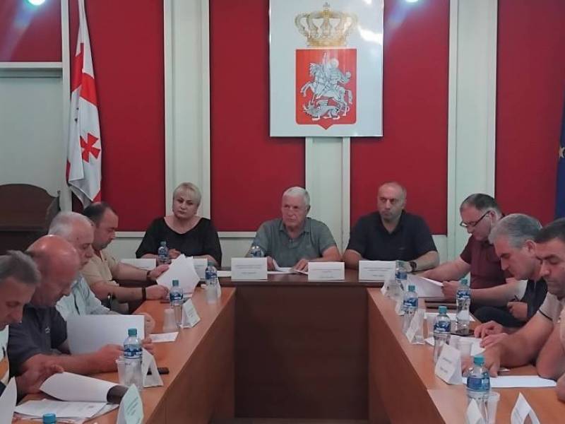 ცაგერის მუნიციპალიტეტის საკრებულოს რიგგარეშე სხდომა