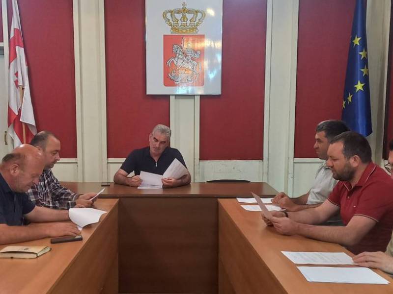 ცაგერის მუნიციპალიტეტის საკრებულოს სივრცით-ტერიტორიული დაგეგმარებისა და...