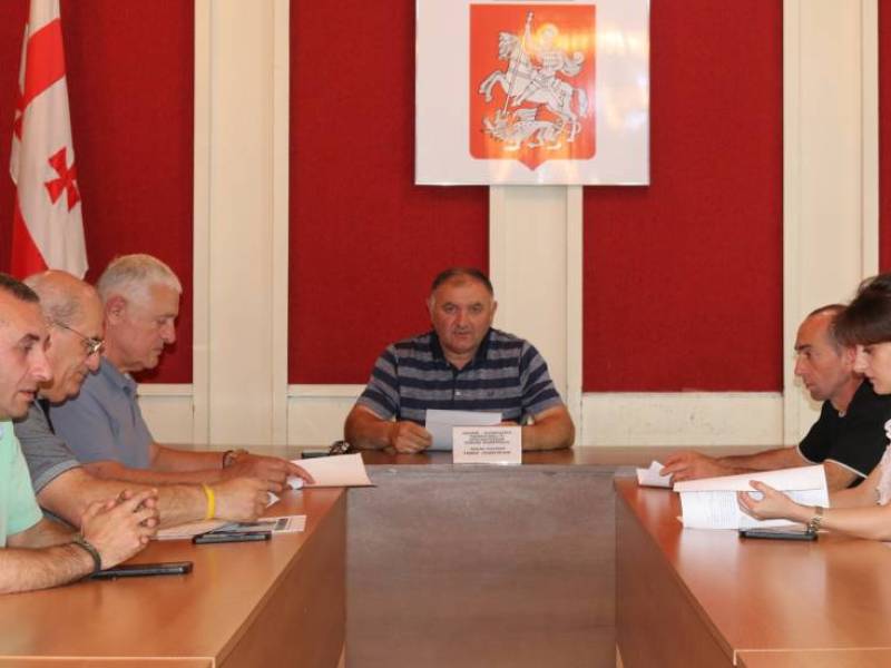 ცაგერის მუნიციპალიტეტის საკრებულოს სივრცით-ტერიტორიული დაგეგმარებისა და ინფრასტრუქურის კომისიის  სხდომა