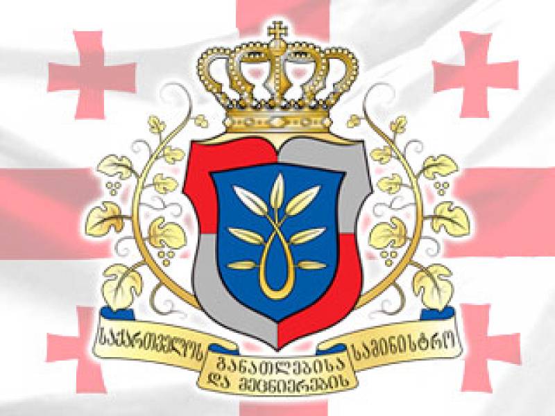 კონკურსი „საქართველოს მოხალისე“ 2018